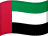 UAE flag